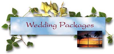Welcome to our services and packages page